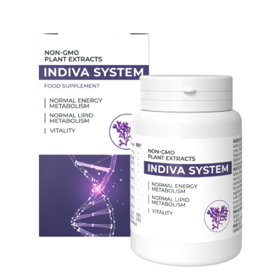 InDiva System